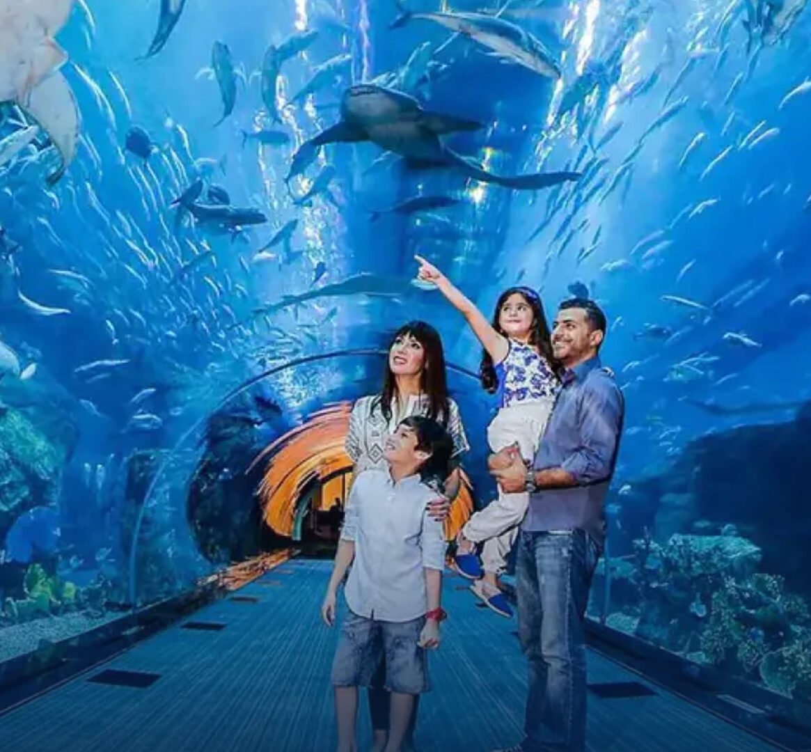 Dubai Aquarium & Zoo Tickets