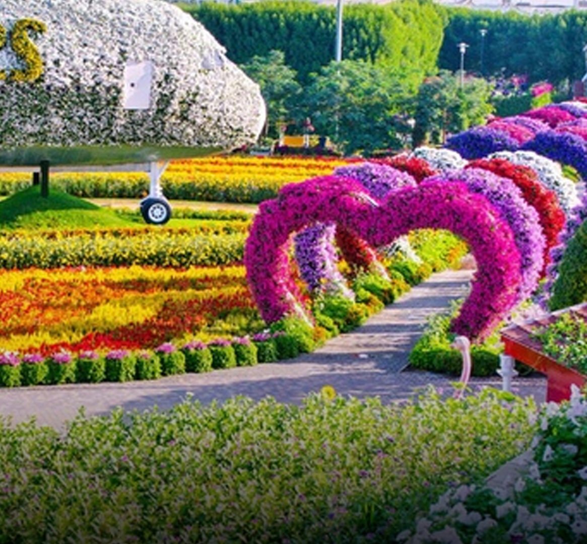 Miracle Garden