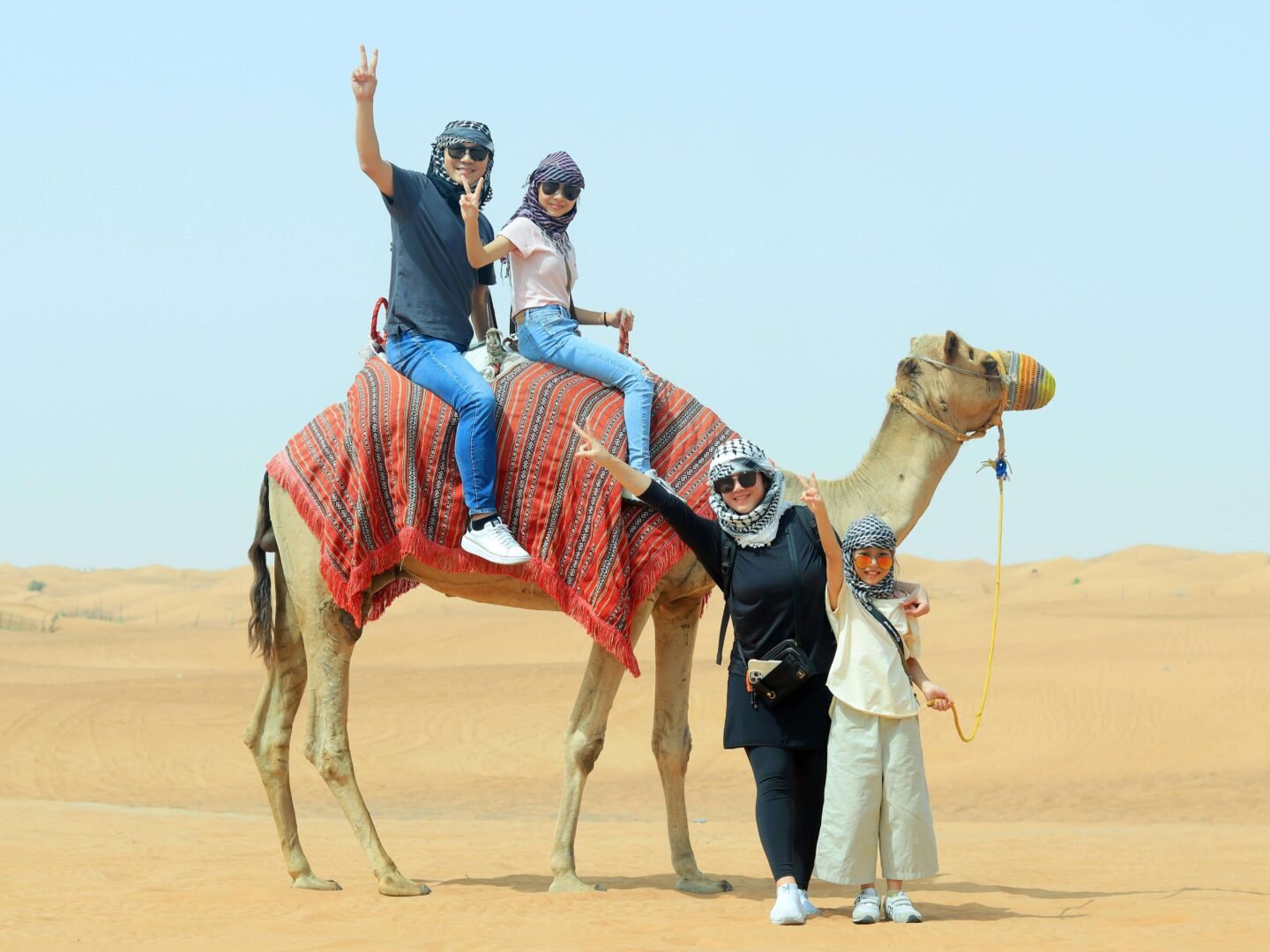 Premium Bedouin desert camp in Dubai with gourmet dinner and shared transfer